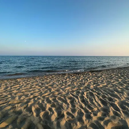 La Conchiglia-2